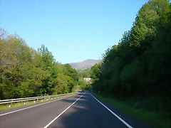 DSCN6996