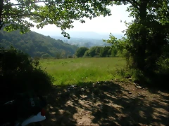 DSCN6934