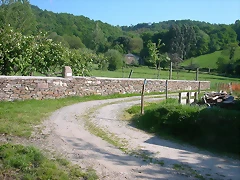 DSCN6920