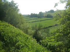 DSCN6947 DSCN6947