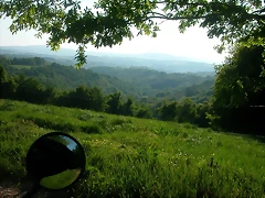 DSCN6980 DSCN6980