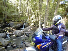 DSCN4197 DSCN4197