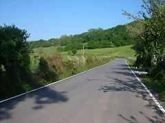 DSCN6917