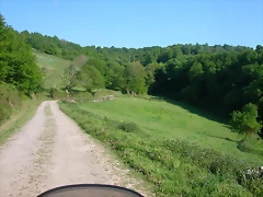 DSCN6937