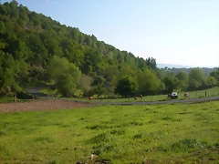DSCN6946 DSCN6946