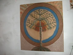 DSCN6959 DSCN6959