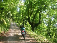DSCN6977 DSCN6977