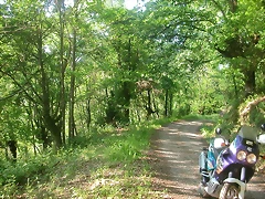 DSCN6978 DSCN6978