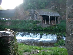 DSCN7019