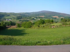 DSCN6988 DSCN6988