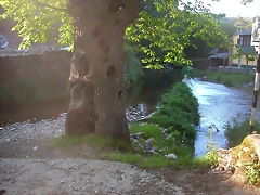 DSCN7005