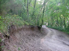 DSCN6986 DSCN6986