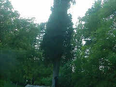 DSCN7028