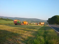 DSCN7043