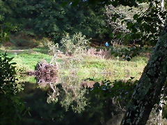 DSCN5292 DSCN5292