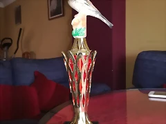 IMG_20170430_144400