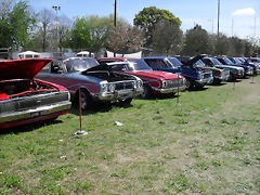 SDC10465 SDC10465