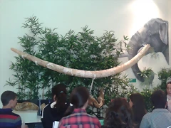 20150421_120122