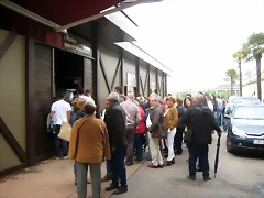 IMG_1705 IMG_1705