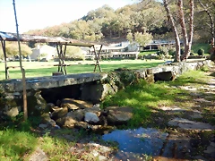 DSCN1067 DSCN1067