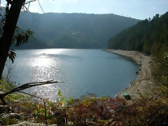 DSCN7539 DSCN7539