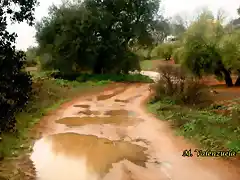 15, camino de cetrina, marca