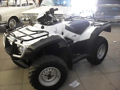 SDC14376 SDC14376