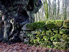 DSCN7214 DSCN7214