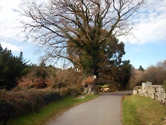 DSCN9360 DSCN9360