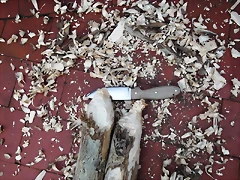 DSCF1224 DSCF1224