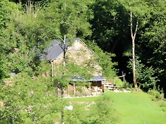 IMG_6729 IMG_6729