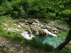 P6230142 P6230142