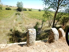 DSCN8168 DSCN8168