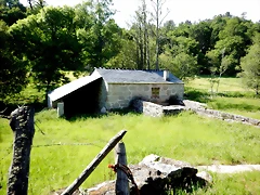 DSCN2462