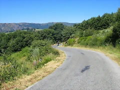 IMG_7625 IMG_7625