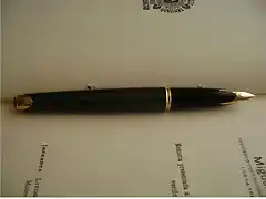 Waterman 5