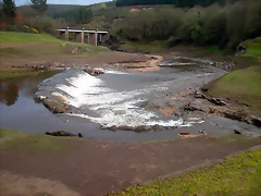 DSCN6049 DSCN6049