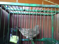 IMAG0723 IMAG0723
