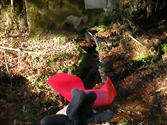 DSCN2286 DSCN2286