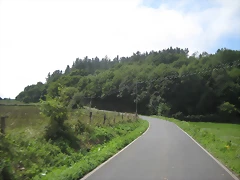 IMG_0311 IMG_0311