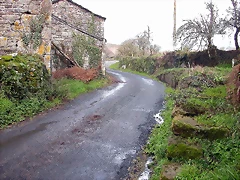 DSCN7354 DSCN7354