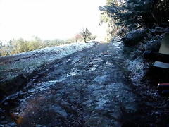 DSCN7474 DSCN7474