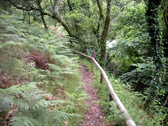 DSCN2753 DSCN2753
