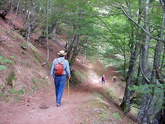 DSCN3840 DSCN3840