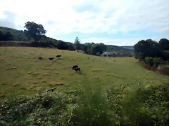 DSCN4349