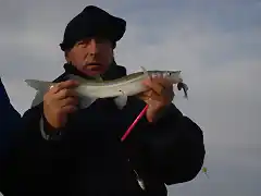 dia de la bandera y rio de la plata 053