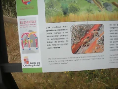 DSCN6228 DSCN6228