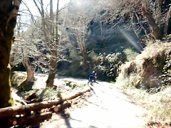 DSCN3798 DSCN3798