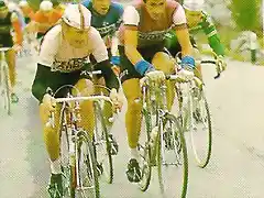 GIRO1977 pollentier moser