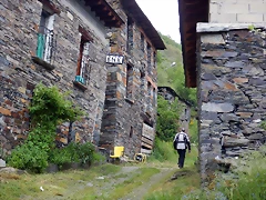 DSCN1264 DSCN1264